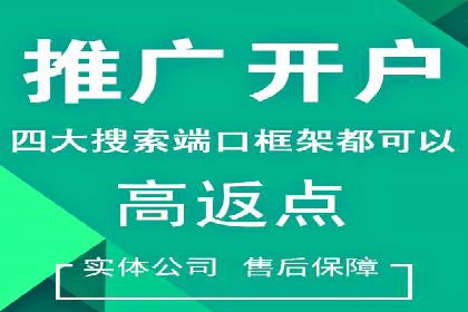 百度推广中SEO优化的成功案例分析